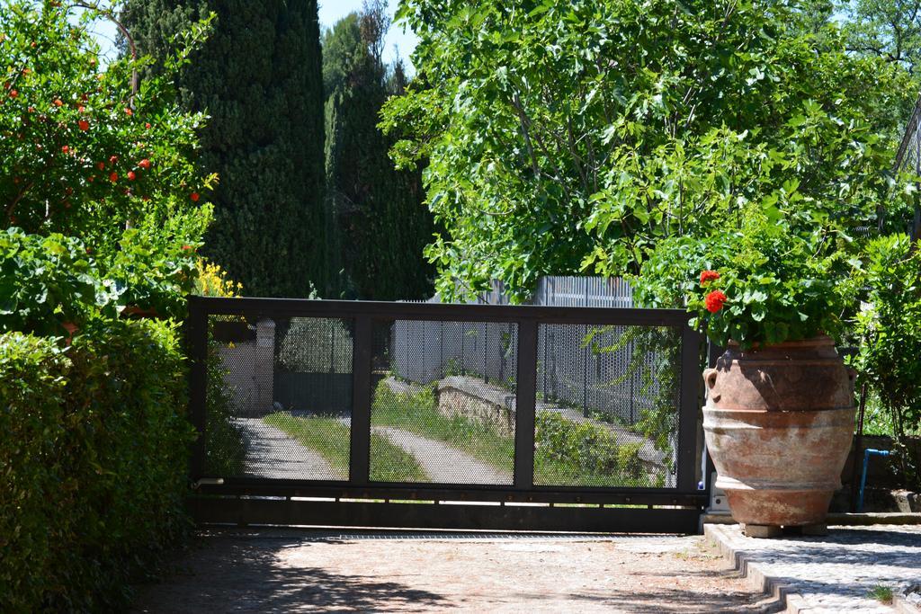 B&B Il Giovine Campello sul Clitunno Dış mekan fotoğraf